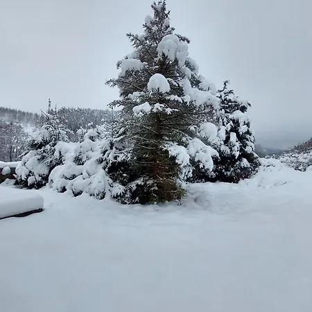 Ski/Bike Villa Sapporo ⃰ ⃰ ⃰ Kraslice Exterior photo